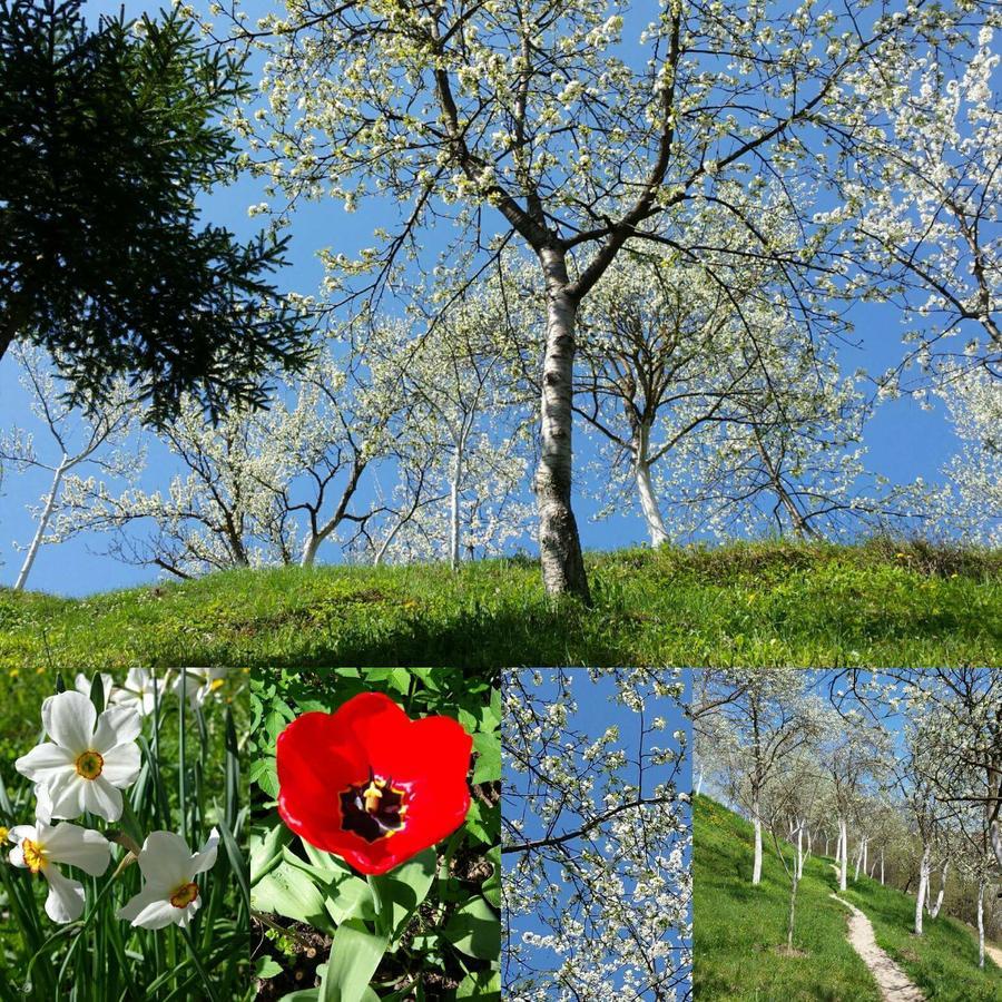 Apartment Prole Sipovo Dış mekan fotoğraf